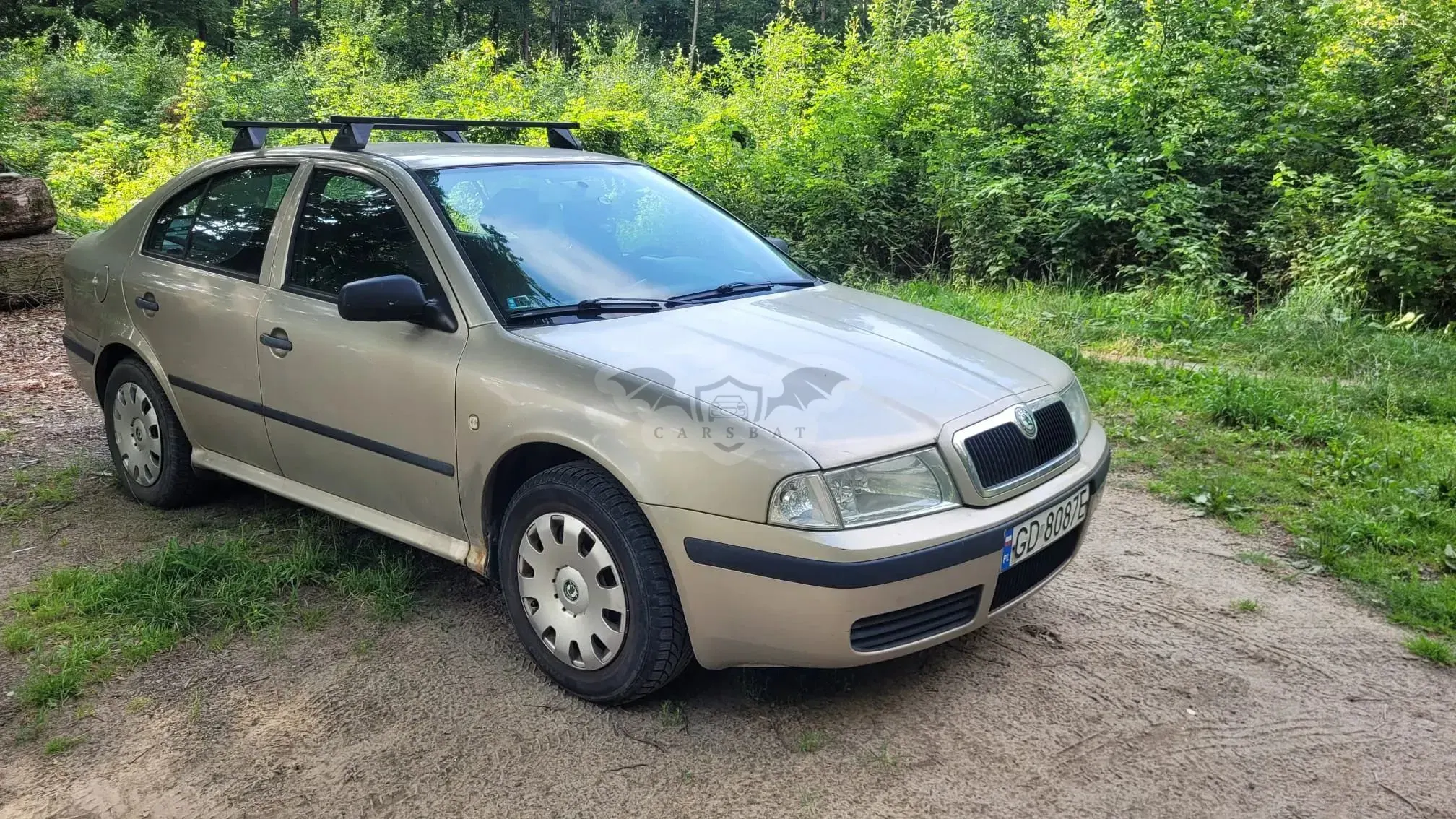 Skoda Octavia I (1996-2011) 1.4 Tour 2005