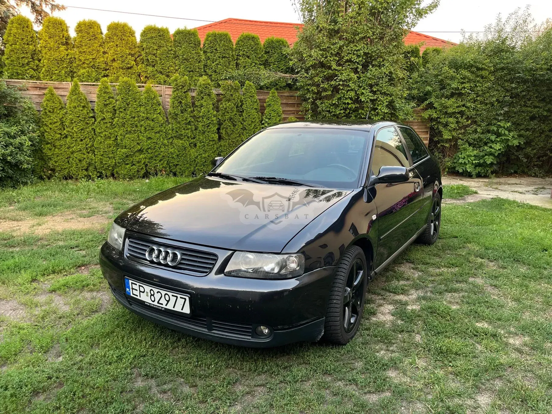 Audi A3 8L (1996-2003) 1.8T Ambition 2002