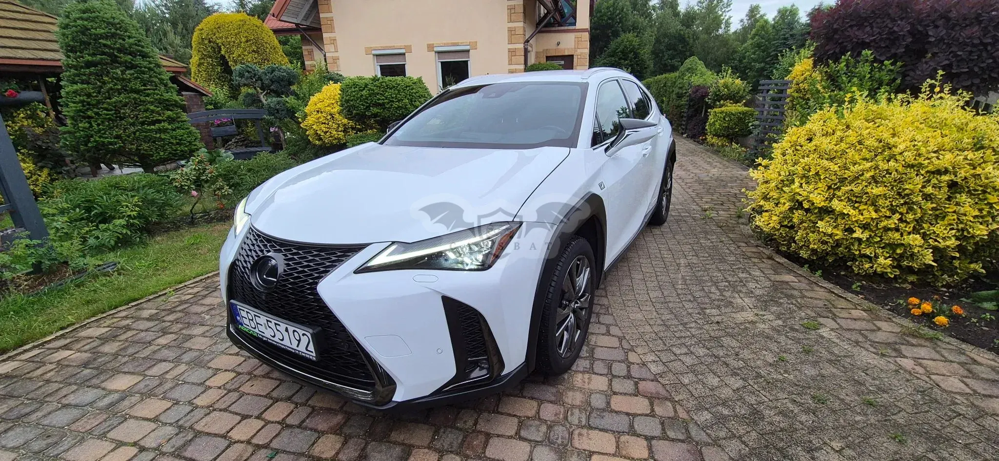 Lexus UX 250h GPF F Sport AWD 2019