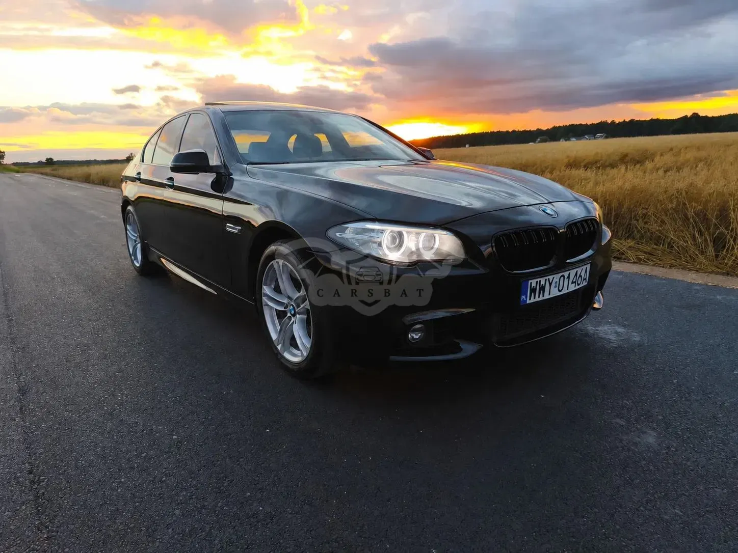 BMW 5 Series F10/F11 (2009-2017) 528i 2016