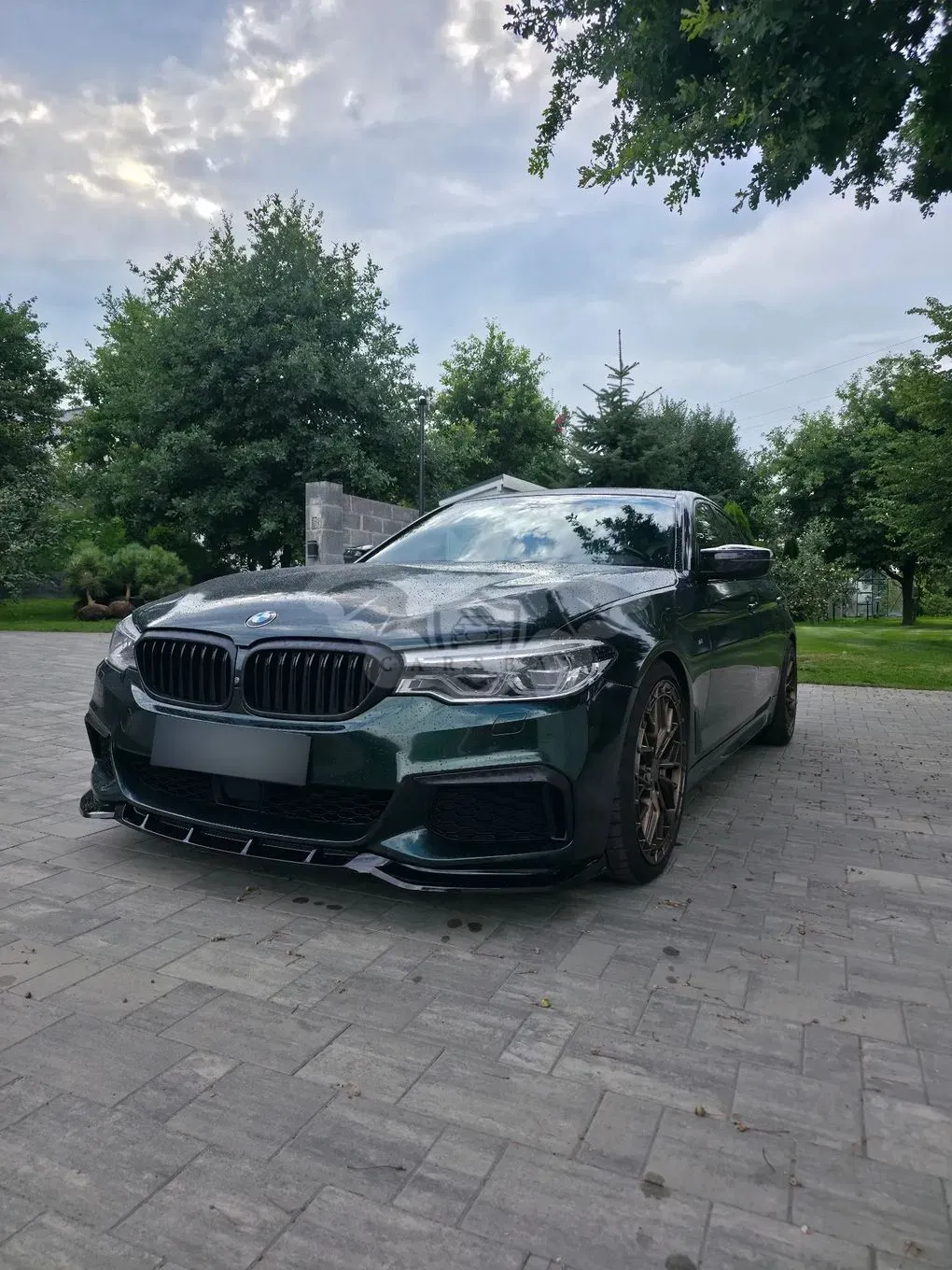 BMW 5 Series G30/G31 (2017-2023) 2018
