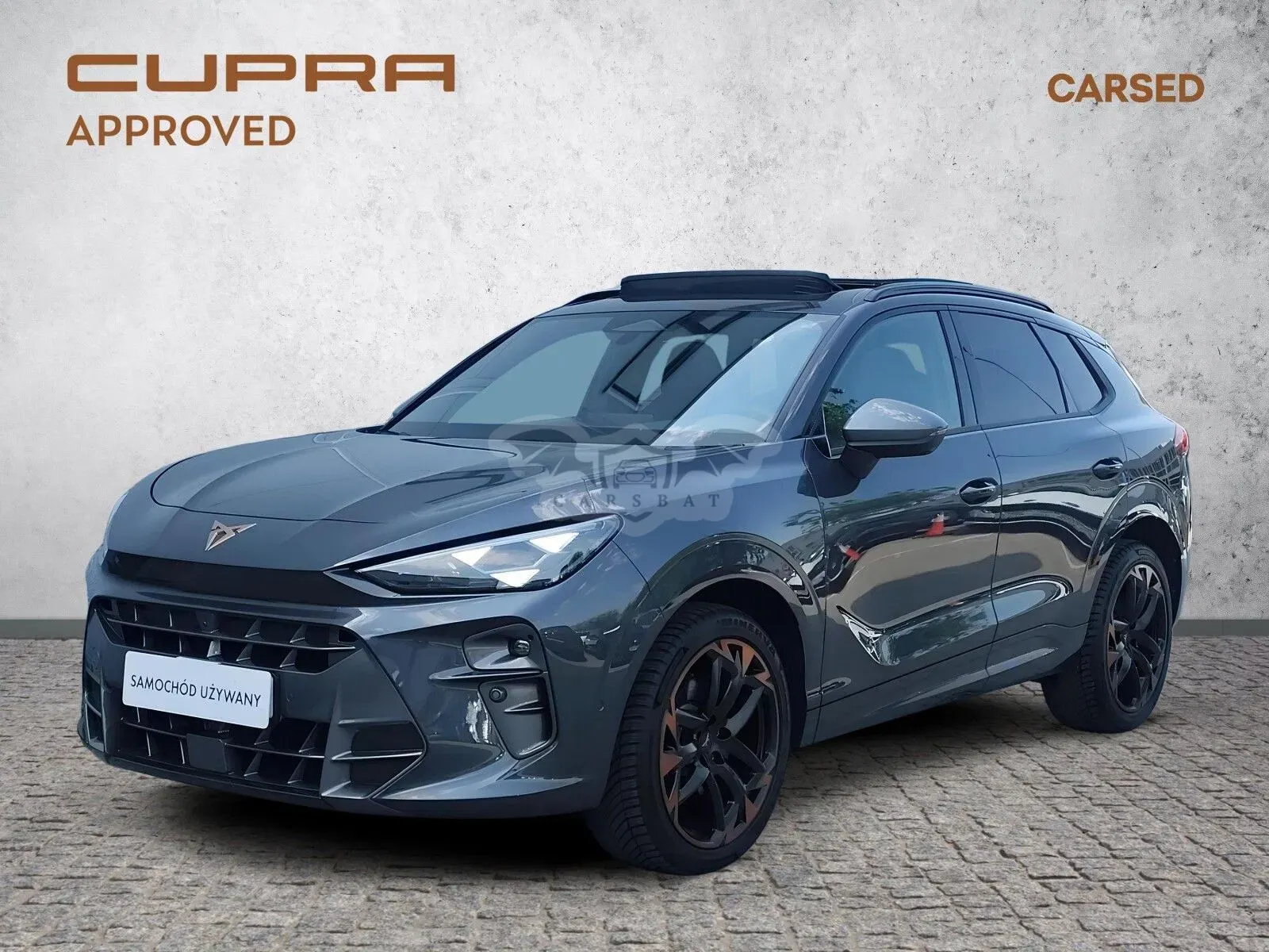 Cupra Terramar 2.0 TSI 4Drive VZ DSG 2025