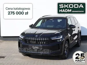Skoda Kodiaq II (2024-) 2026