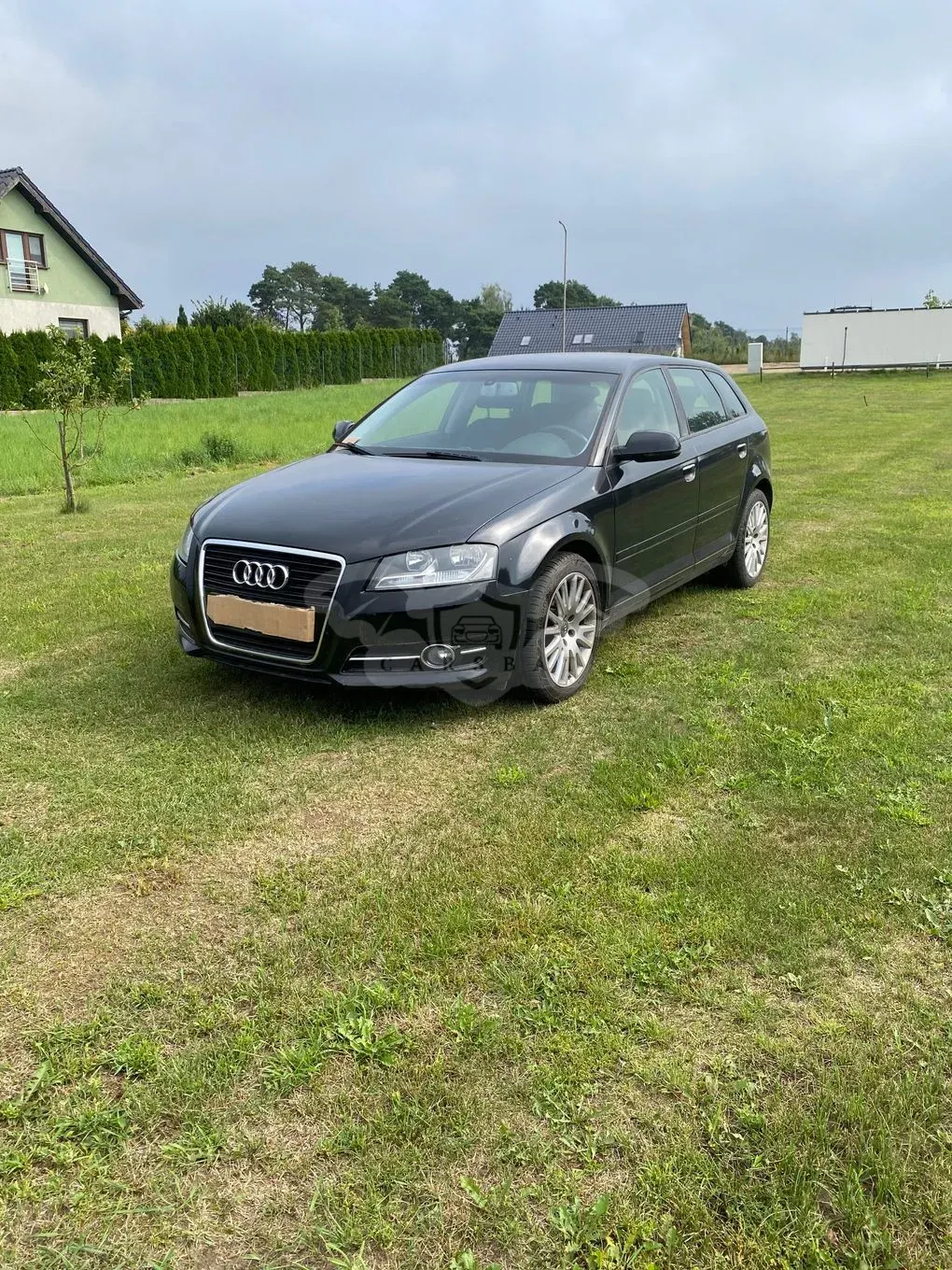 Audi A3 8P (2003-2012) 1.6 TDI DPF Ambition 2010