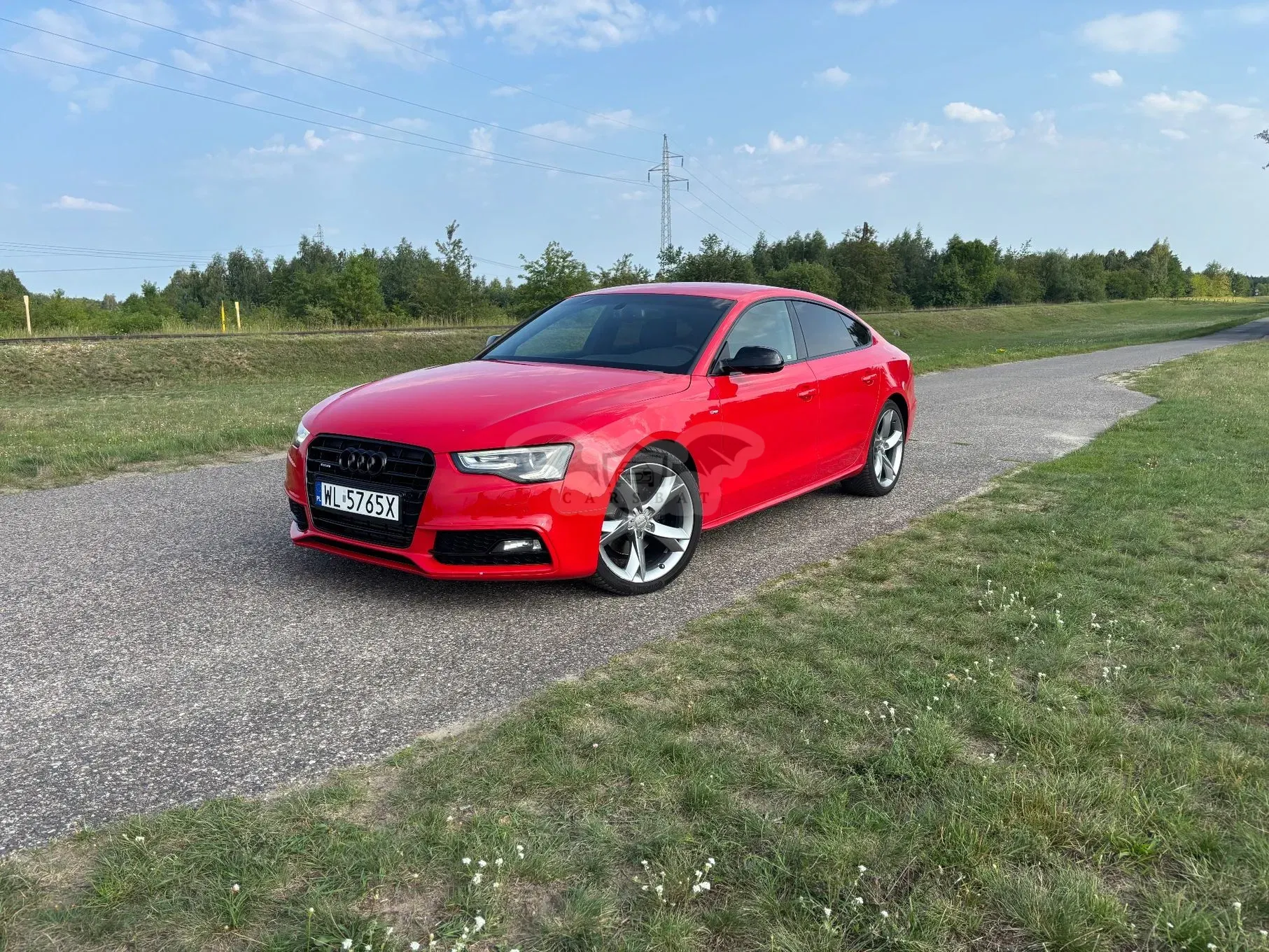 Audi A5 8T (2007-2016) 2.0 TDI quattro DPF S tronic 2013