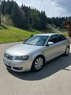Audi A3 8P (2003-2012) 2004