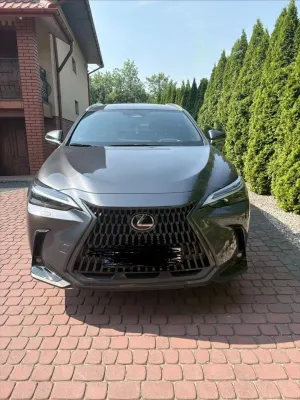 Lexus NX II (2021-) 2023