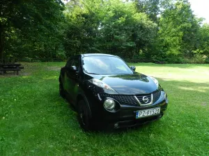 Nissan Juke I (2010-2019) 2013