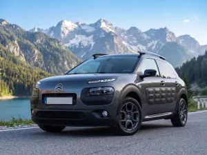 Citroën C4 Cactus PureTech 82 Feel Edition 2016