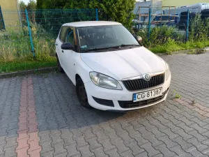 Skoda Fabia II (2007-2014) 1.6 TDI DPF Active 2012