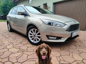 Ford Focus Mk3 (2010-2018) 1.0 EcoBoost Titanium ASS 2015