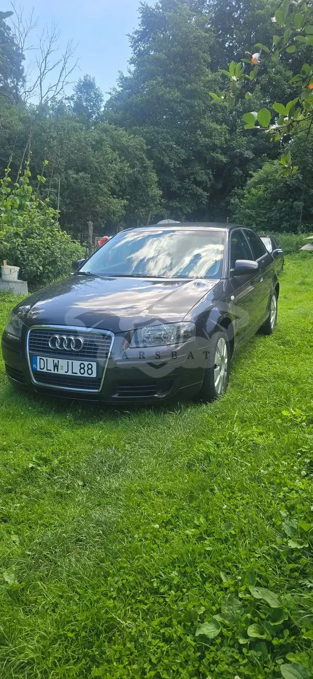 Audi A3 8P (2003-2012) 1.9 TDI Ambiente 2004