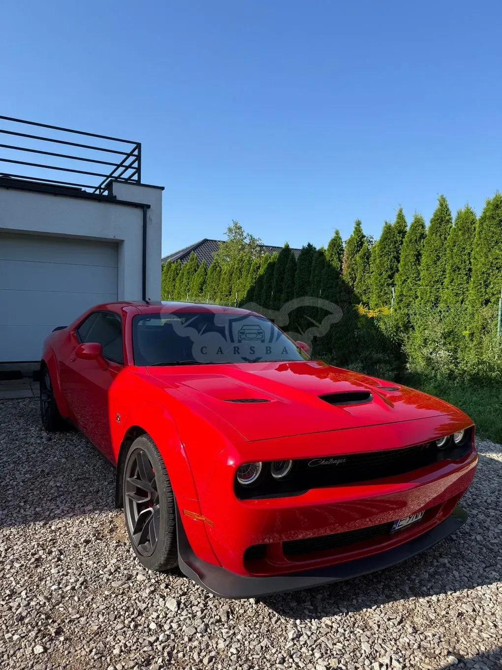 Dodge Challenger Automatik 392 Hemi Scat Pack Shaker 2019