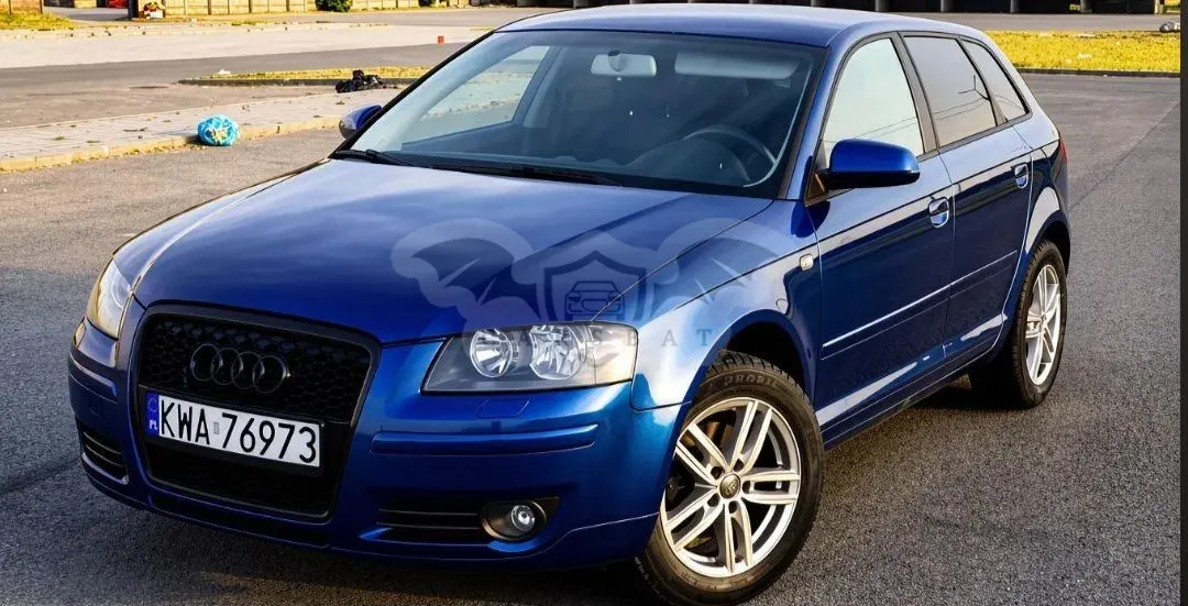 Audi A3 8P (2003-2012) 2.0 TDI Ambiente 2007