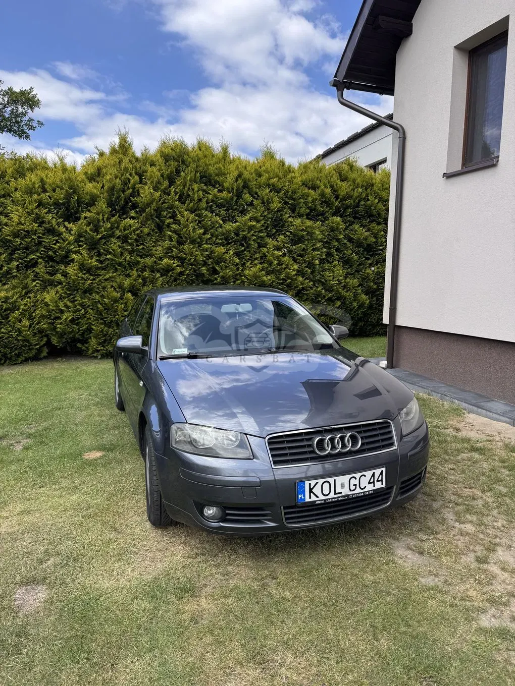 Audi A3 8P (2003-2012) 1.9 TDI DPF Ambition 2003