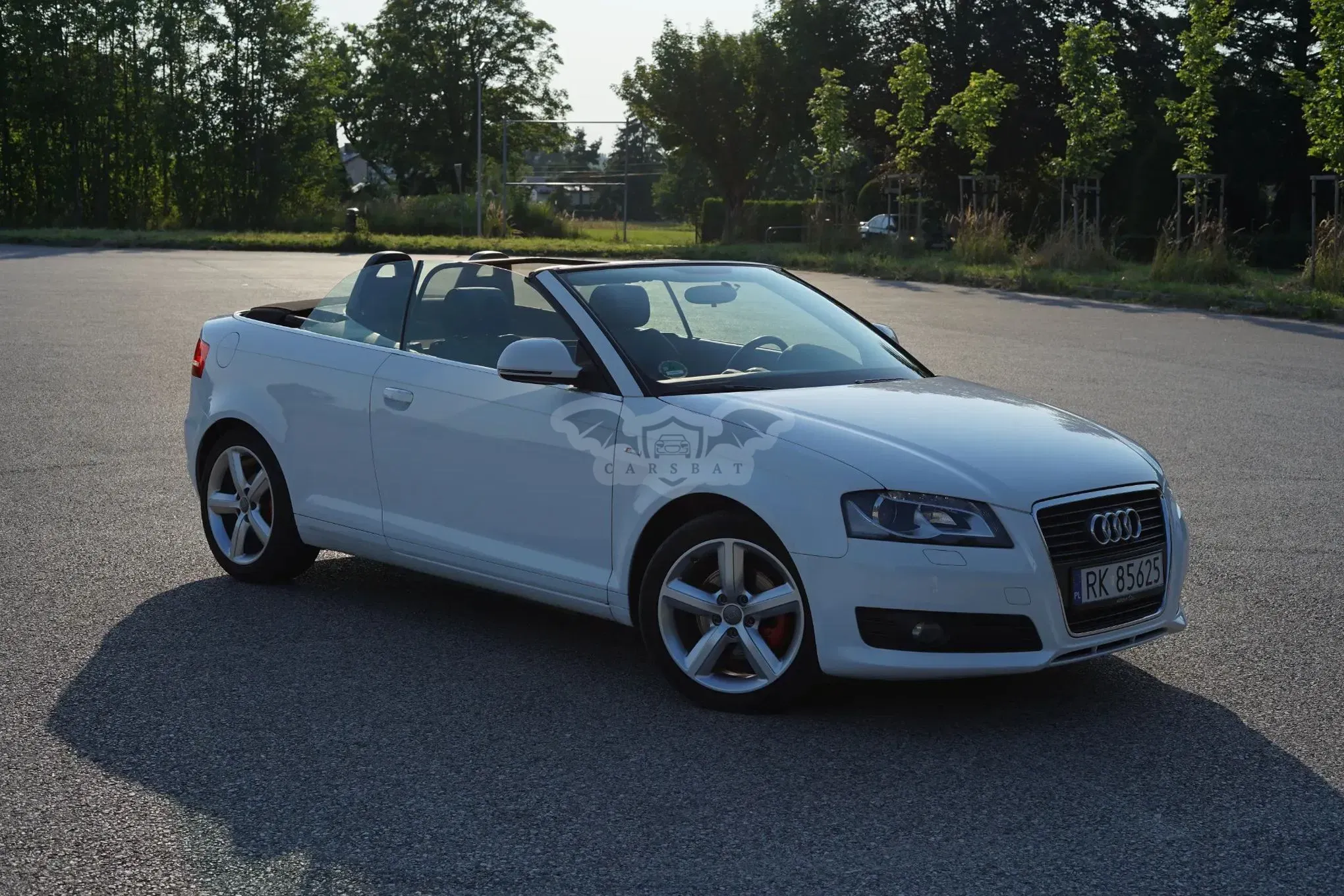 Audi A3 8P (2003-2012) 2010