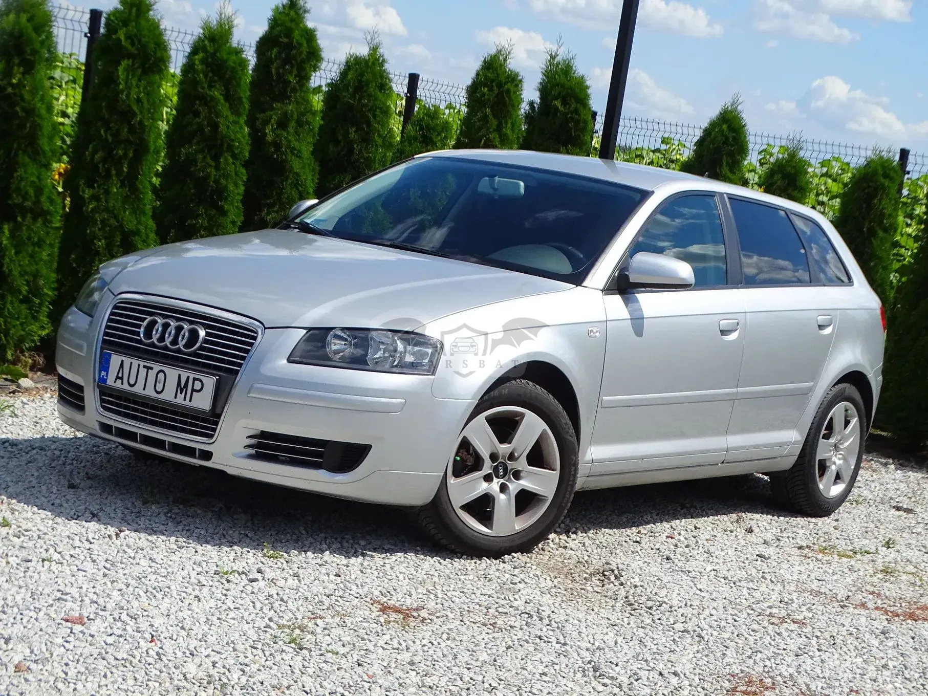 Audi A3 8P (2003-2012) 2.0 TDI Ambiente S tronic 2007
