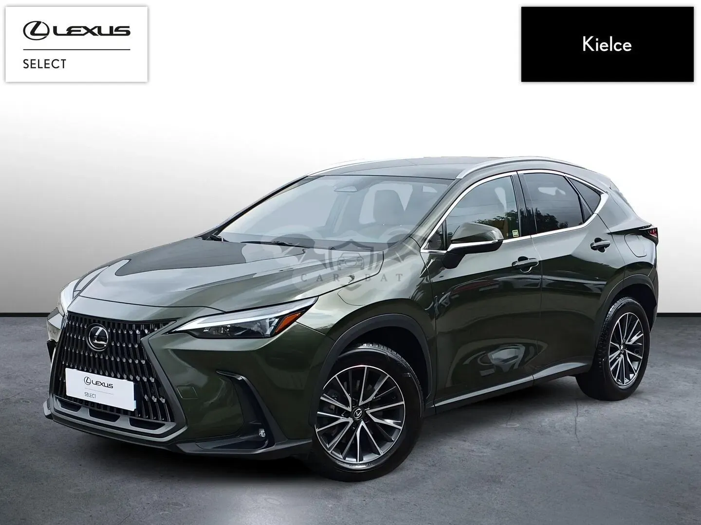 Lexus NX II (2021-) 350h Prestige 2WD 2024