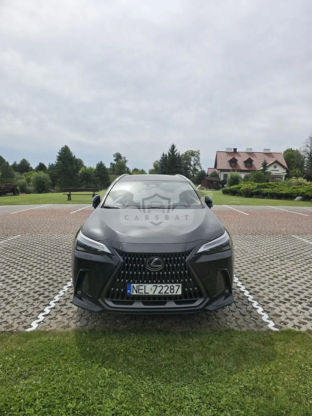Lexus NX II (2021-) 350h Prestige AWD 2023