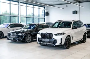 BMW X5 G05 (2018-) xDrive30d mHEV sport 2023