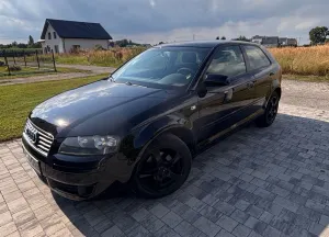 Audi A3 8P (2003-2012) 2004