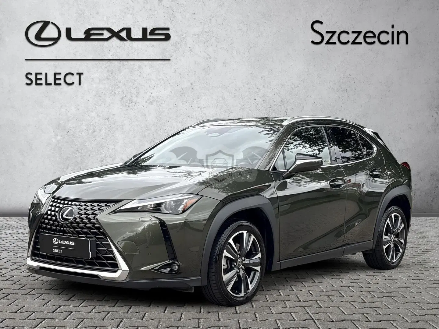Lexus UX 300h Business 2024