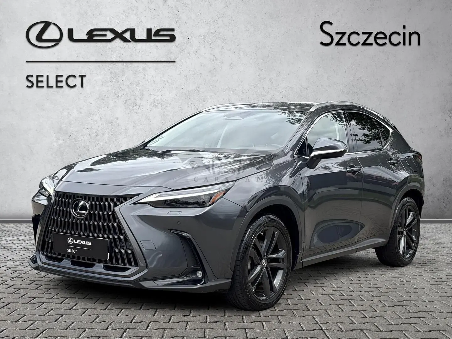 Lexus NX II (2021-) 350h Prestige AWD 2023