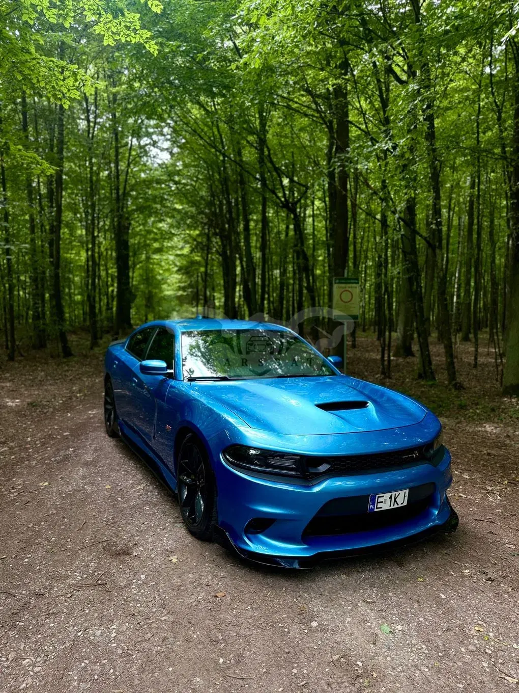 Dodge Charger 6.4 Scat Pack 2019