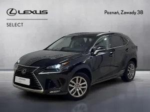 Lexus NX I (2014-2021) 300h Elegance AWD 2017