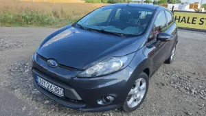 Ford Fiesta Mk7 (2008-) 1.25 Ambiente 2010