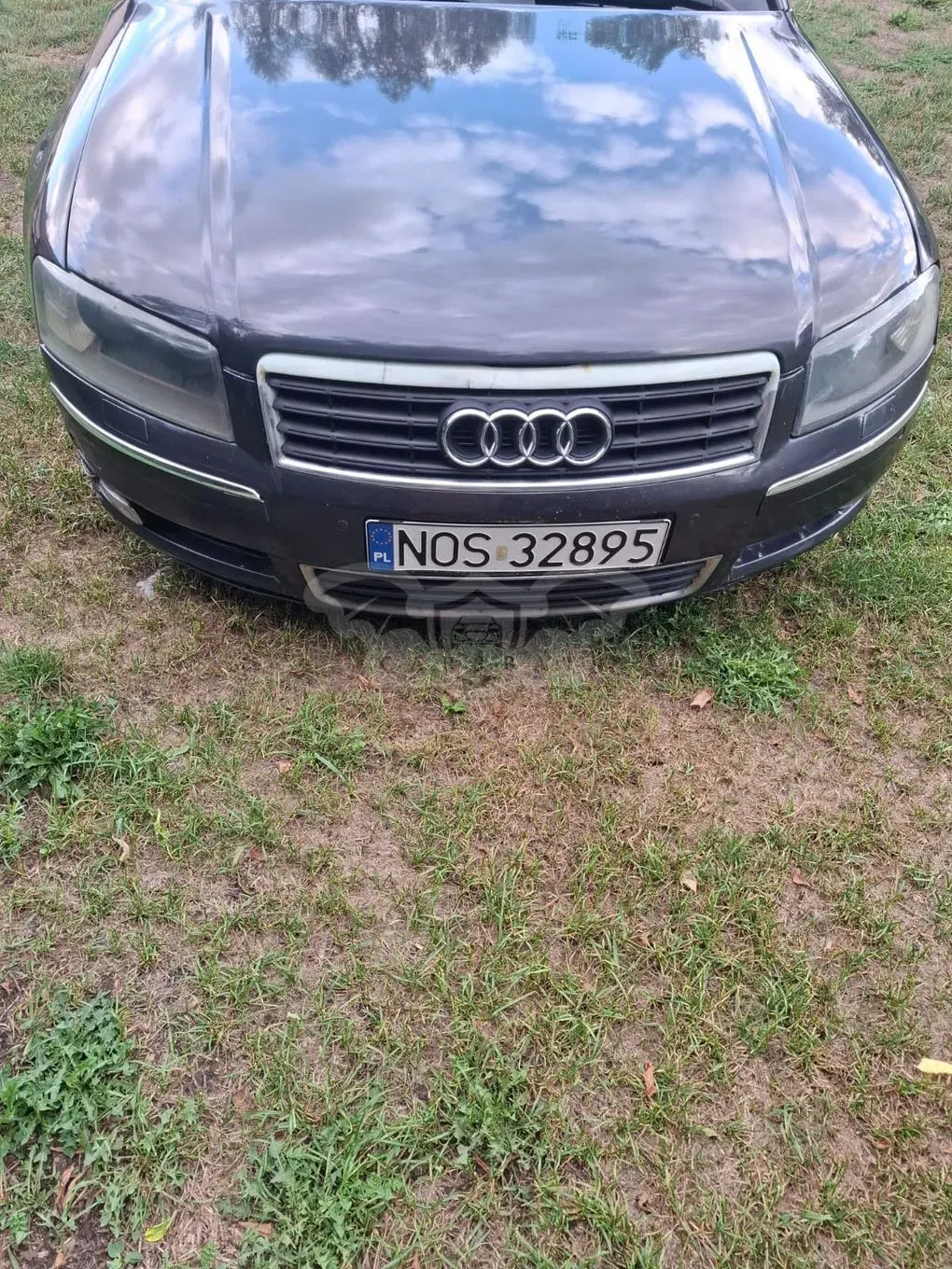 Audi A8 D3 (2002-2010) 4.2 L Quattro 2003