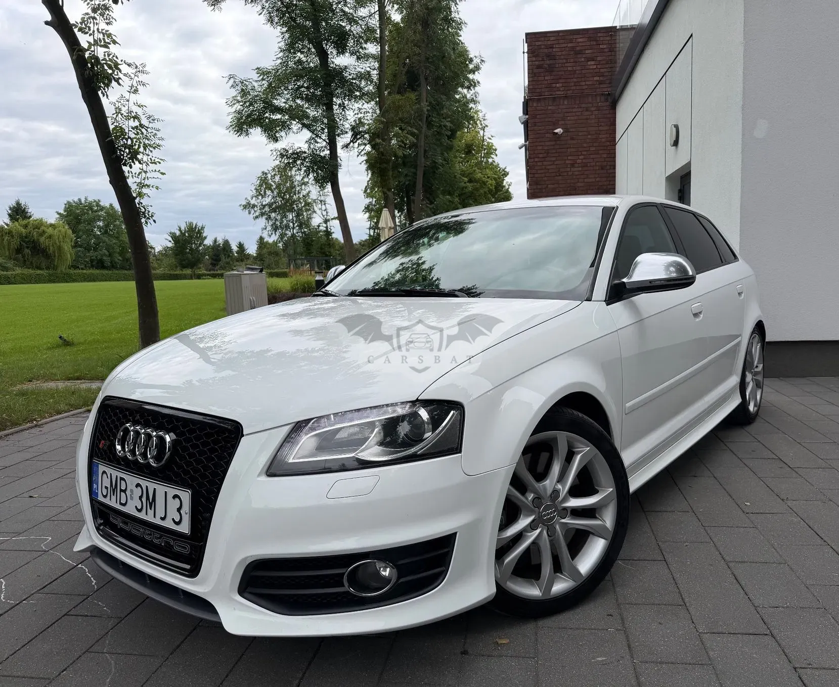 Audi S3 8P (2003-2012) 2.0 TFSI Quattro 2010