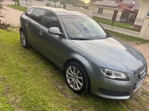 Audi A3 8P (2003-2012) 2009