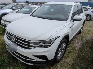 Volkswagen Tiguan II (2016-2024) 2023