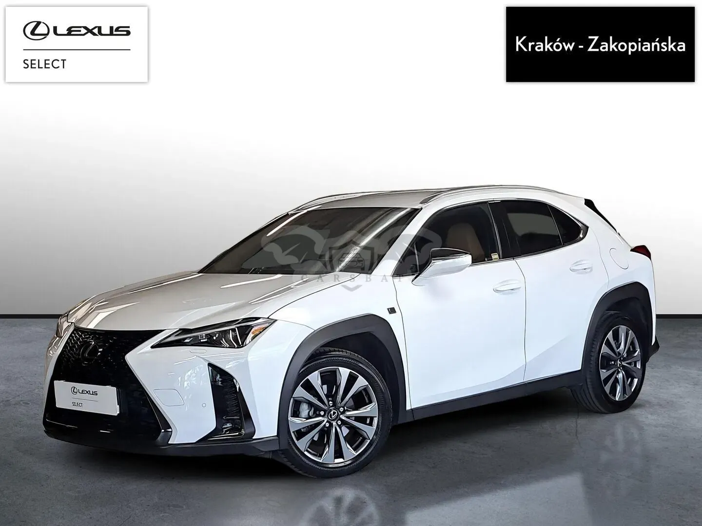 Lexus UX 300h F Sport Design 2024