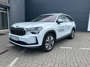Skoda Kodiaq II (2024-) 2.0 TDI 4x4 Selection DSG 2024