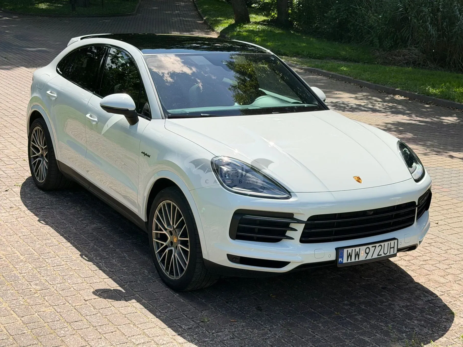 Porsche Cayenne III (2017-) Platinum Edition 2022