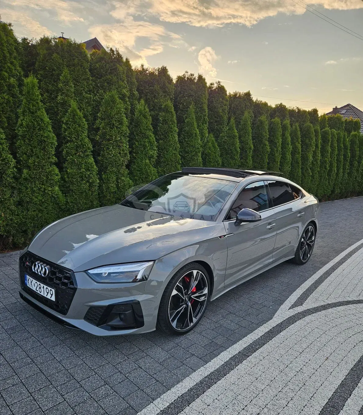 Audi S5 2021