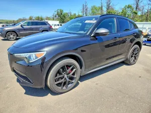 Alfa Romeo Stelvio 2.0 Turbo 16V AT8-Q4 Veloce Ti 2019