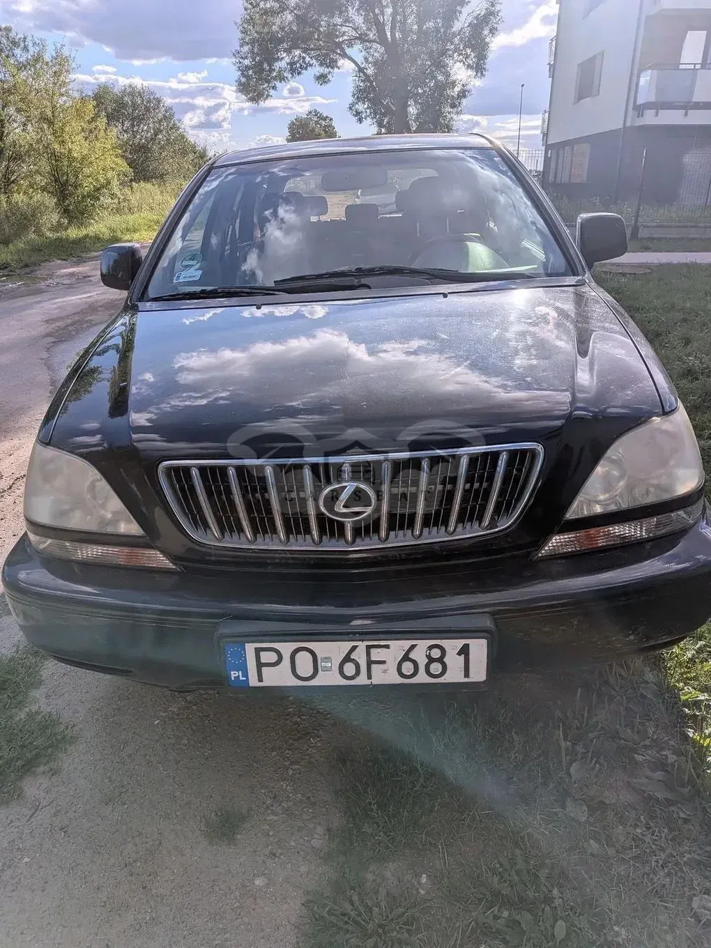 Lexus RX I (1997-2003) Lux 2002