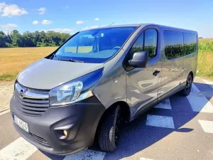 Opel Vivaro II (2014-2019) 1.6 CDTI L2 2016