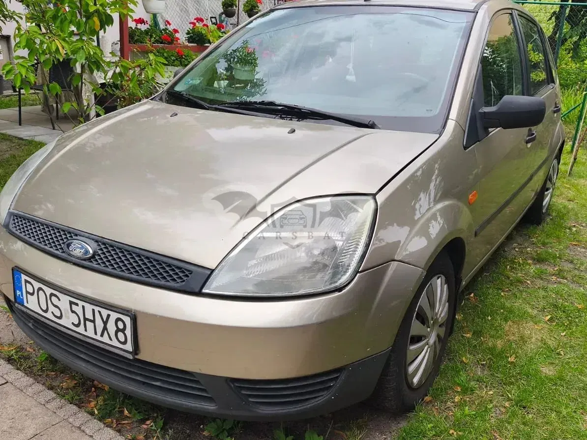 Ford Fiesta Mk6 (2002-2008) 2003