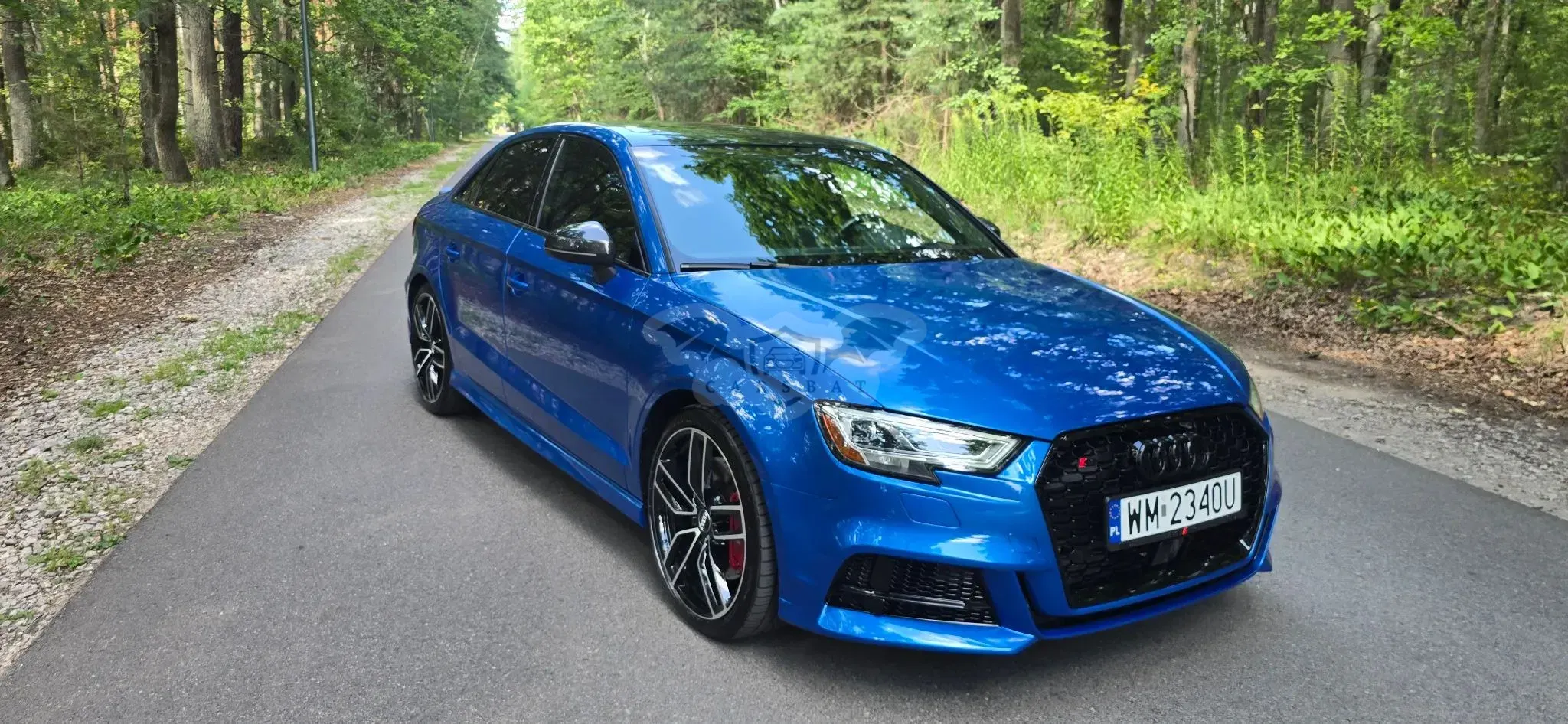 Audi S3 8V (2012-2020) 2017