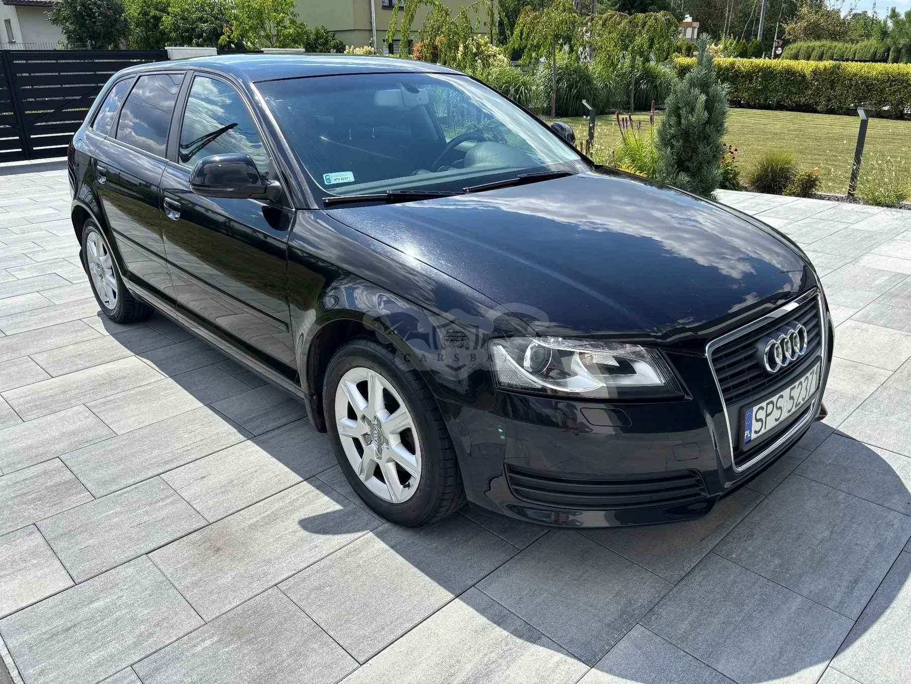 Audi A3 8P (2003-2012) 2.0 TDI DPF Ambition 2009