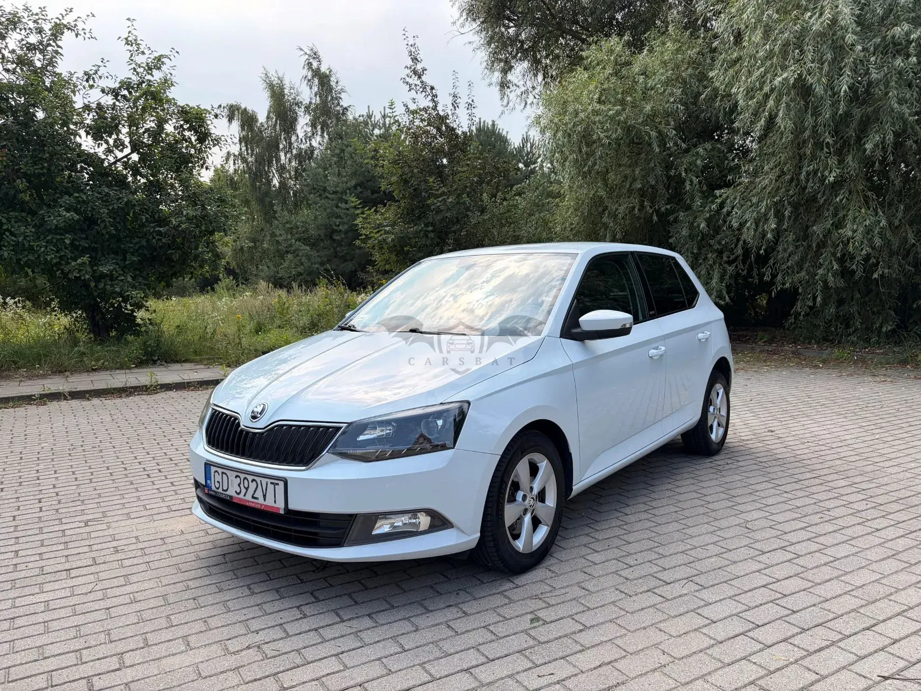 Skoda Fabia III (2014-2021) 2016