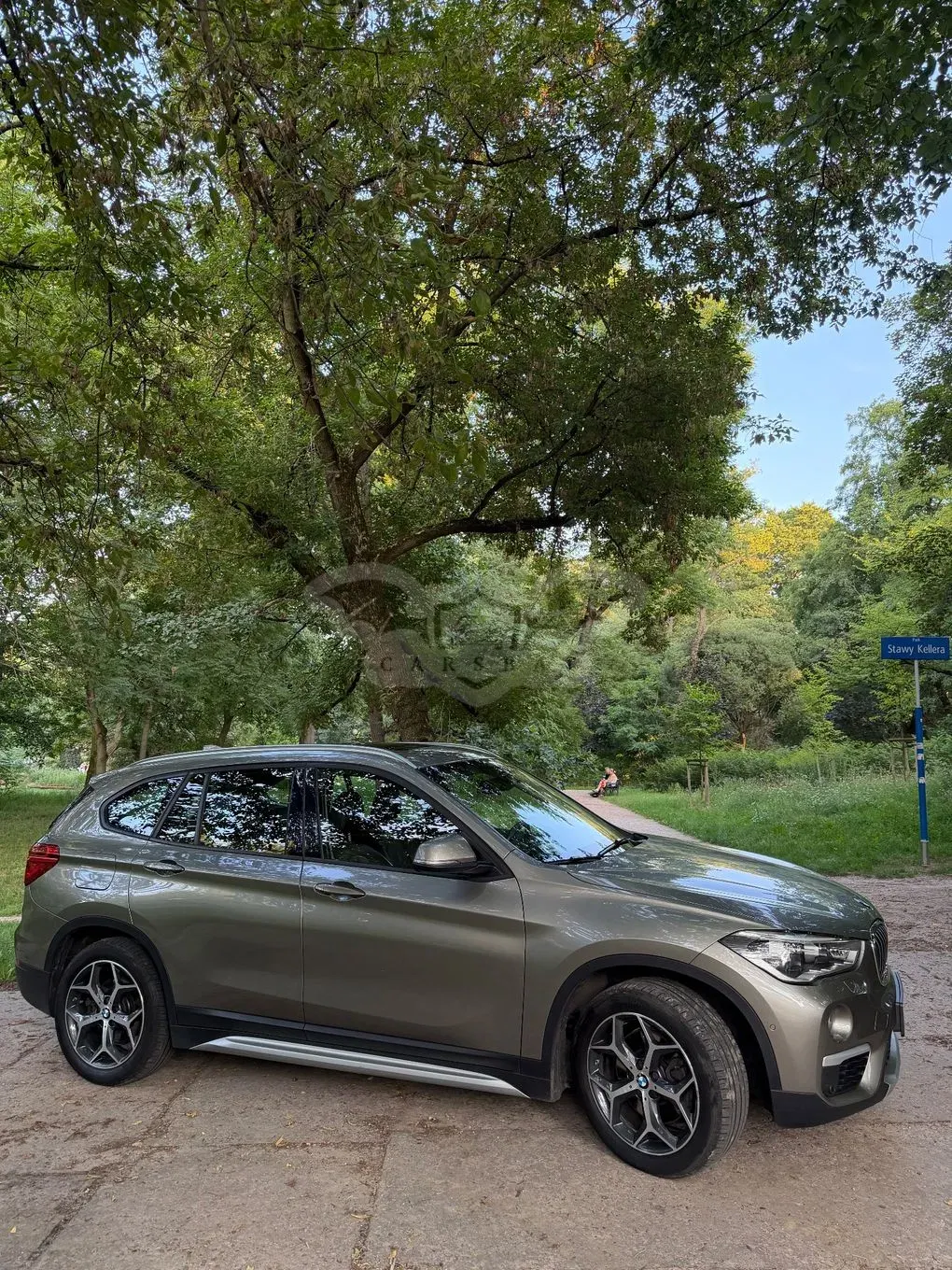 BMW X1 F48 (2015-2022) xDrive20d 2016