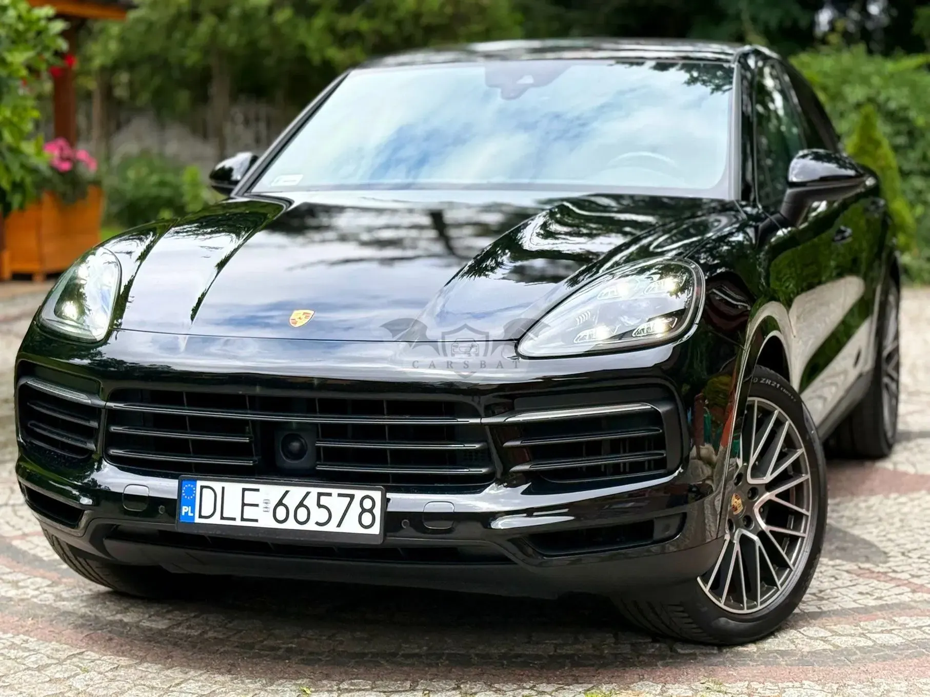 Porsche Cayenne III (2017-) Platinum Edition 2019