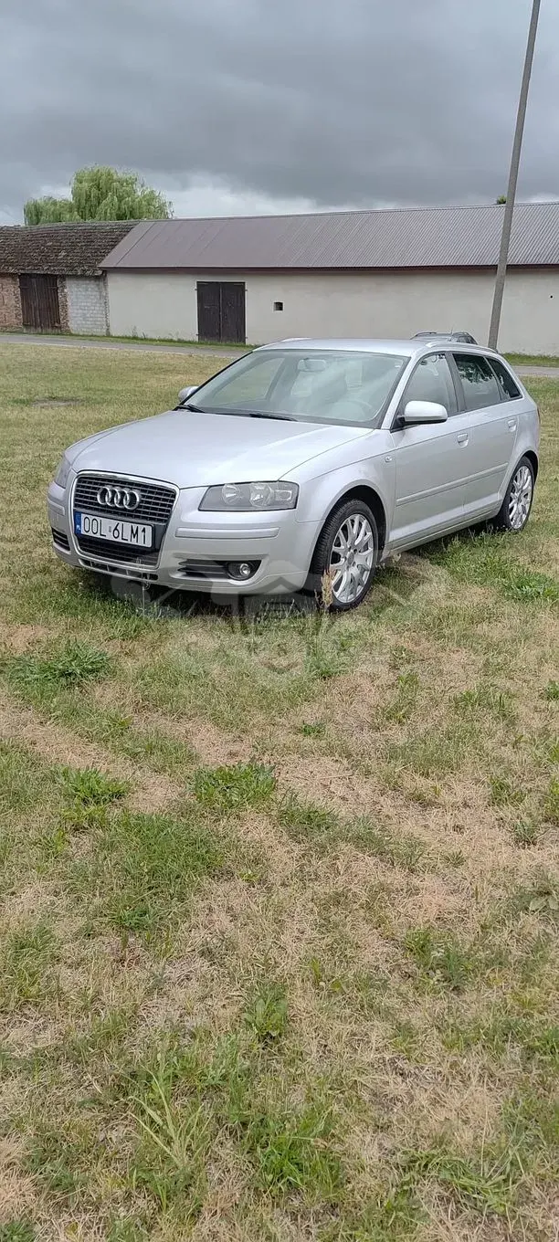 Audi A3 8P (2003-2012) 1.8 TFSI Quattro Ambition 2007