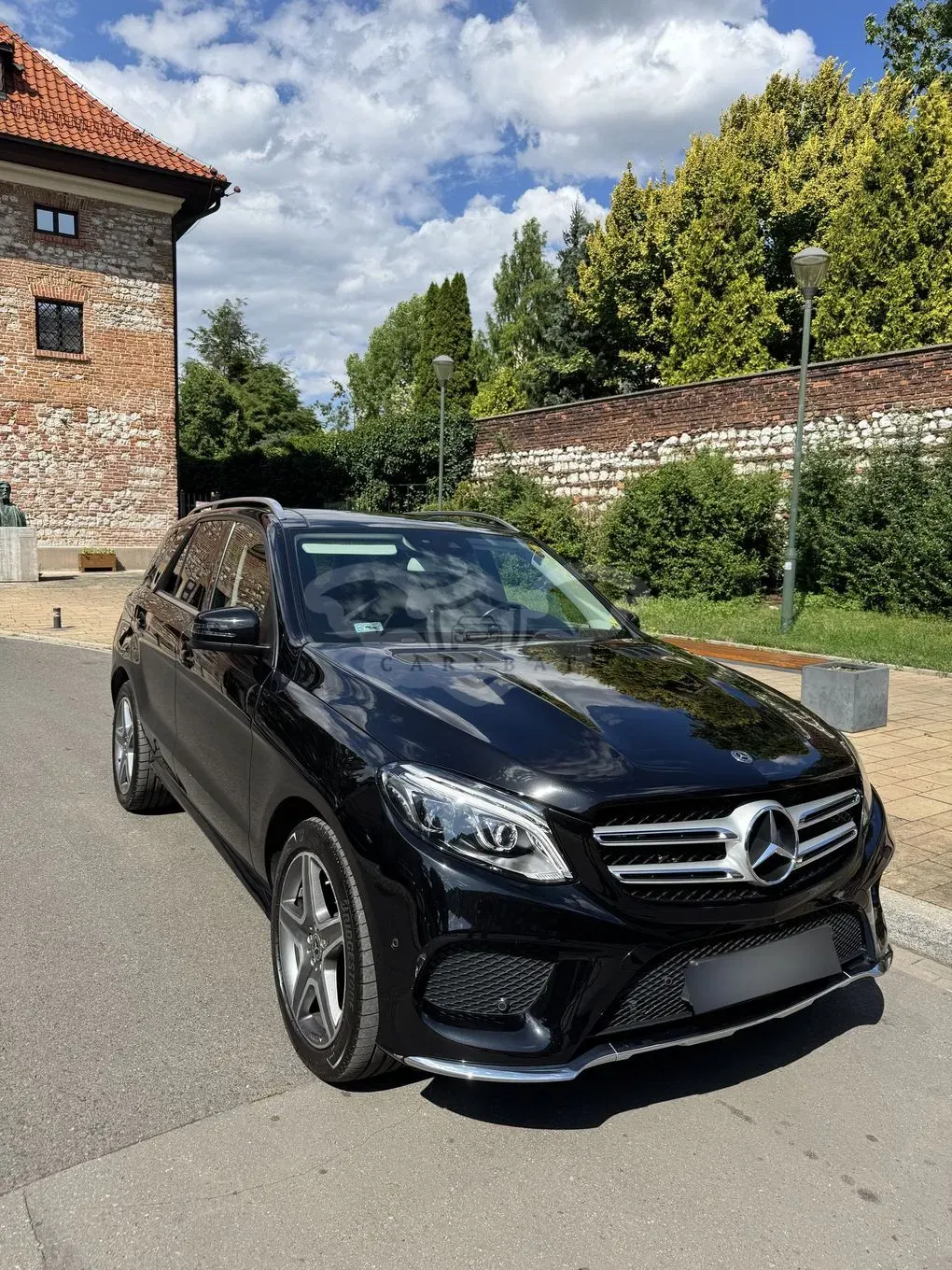Mercedes-Benz GLE W166 (2015-2019) 250 d 4-Matic 2017