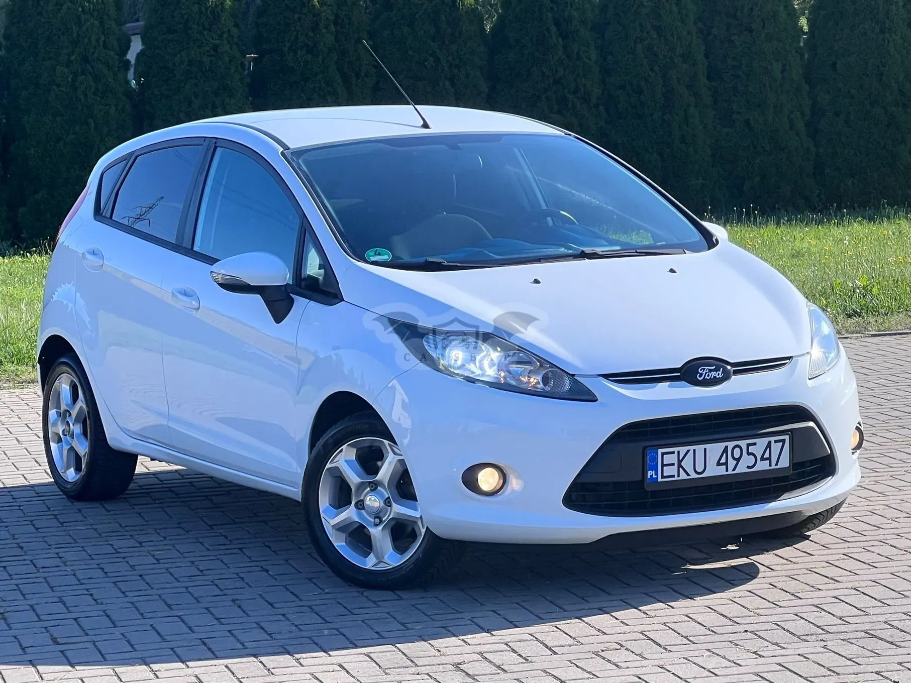 Ford Fiesta Mk7 (2008-) 1.4 Champions Edition 2009